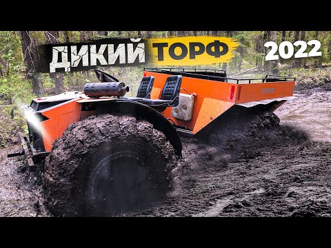 Видео: Танковая дорога 2022 Торф. Вездеходы Охотник, Медведь, Егерь, Лесник, Литл, Русоход, Феникс. Часть 2