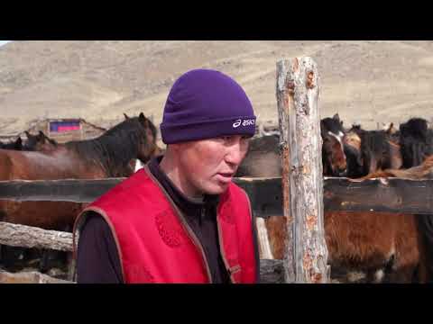 Видео: "Сельский час" Чылгы