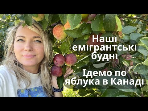 Видео: Влог: Печу млинці , ностальгія #життявканаді #гамільтон #будніхудожницівканаді 