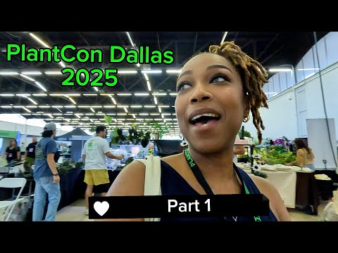 Видео: PlantCon Dallas 2025 | Утреннее прохождение, часть 1