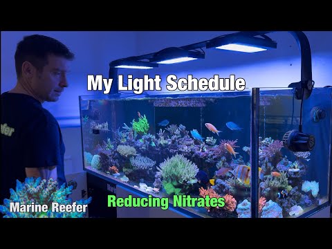 Видео: Мой график освещения и снижение уровня нитратов в рифовом аквариуме.