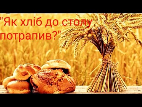Видео: Як хліб до столу потрапив?
