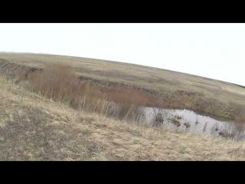 Видео: Охота ну утку и куропатку,отличный день🔥🔥🔥