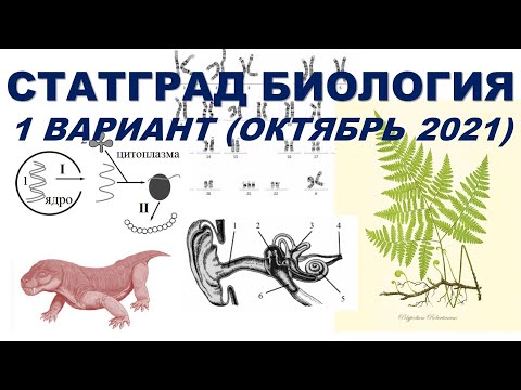 Видео: СТАТГРАД БИОЛОГИЯ | 1 вариант | Октябрь 2021