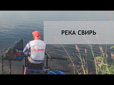 Видео: Рыболовное путешествие. Часть 1. С фидером на Свири