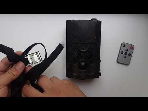 Видео: фотоловушка филин 120 или HC-550A?Работает спустя 3 года!