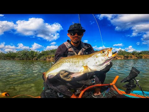 Видео: Целое утро, ловля жирной рябой форели на вейк-бейс! (Рыбалка с каяка в Южном Техасе)