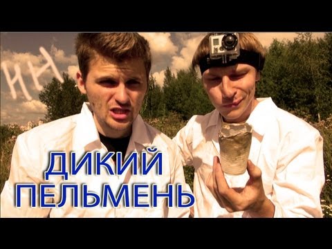 Видео: Научные нубы - "дикий пельмень"