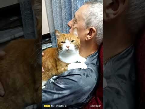 Видео: Первый день после отпуска,Юки отвык от нас 🤔