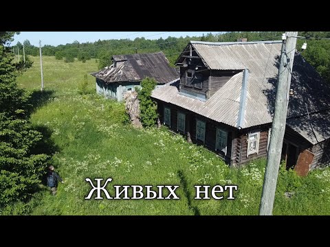 Видео: Никто не хотел такого. У них было всё для жизни. Покинутые дома не перестают удивлять.