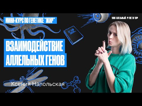 Видео: Взаимодействие аллельных генов | Ксения Напольская 100бальный