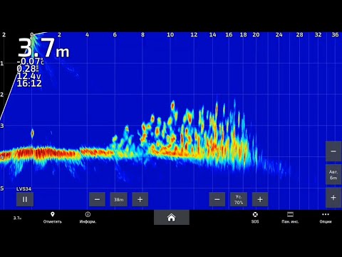 Видео: Как ведёт себя судак днём и ночью часть 2 (Сенеж)
