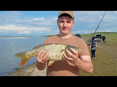 Видео: РЫБАЛКА НА КАРПА ДЕДОВСКИЙ МЕТОД. ОЗЕРО ЖУКЕЙ 2024 #карп на донку# рыбалка в Астане #Жукей 2024г.