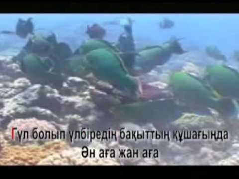 Видео: КАЗАКША КАРАОКЕ