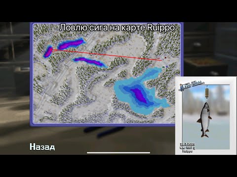Видео: ОБНОВЛЕНИЕ ВЫШЛО! РЫБАЛКА НА НОВОЙ ЛОКАЦИИ RUIPPO! #propilkki2