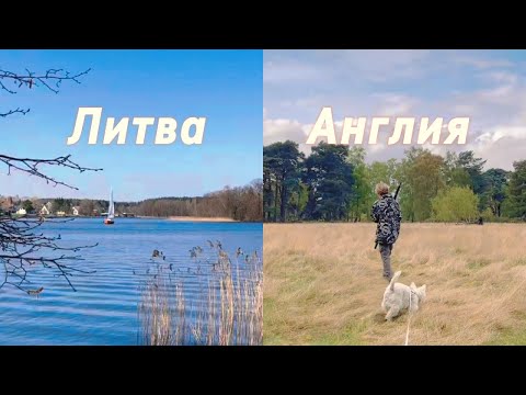 Видео: Литва Vs Англия. Тракай, Сакуры, Деревня,Shuttleworth Collection и Прогулки по Природе.