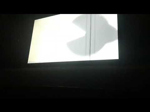 Видео: 23 октября 2025 г.