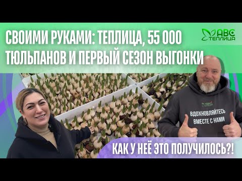 Видео: Первая теплица — и сразу 55.000 тюльпанов! Без опыта, но с огнём в глазах вошли в цветочный бизнес.