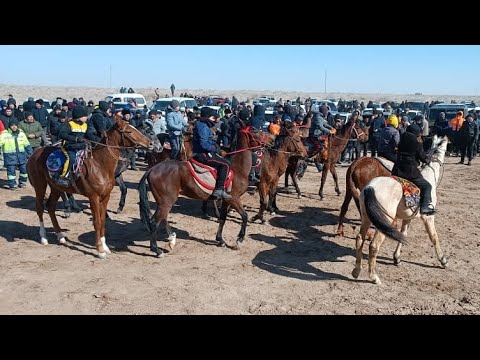 Видео: 25 февраля 2024 г.ТОРКУЛ Хожааулда Атчапар.