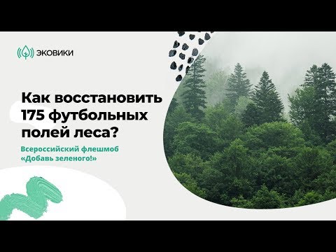 Видео: Как восстановить 175 футбольных полей леса?