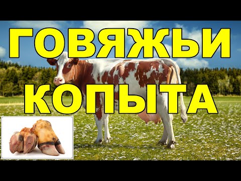 Видео: ГОВЯЖЬИ КОПЫТА