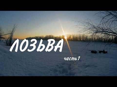 Видео: Лозьва. Рыбалка на реке Лозьва. 16.03.2023-19.03.2023. Часть 1.