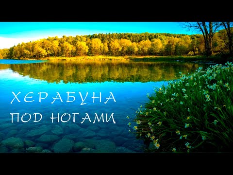 Видео: Рыбалка на прутик! Как в ДЕТСТВЕ. КУЧА РЫБЫ под ногами!