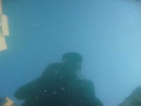 Видео: Рено клио не заводиться часть1