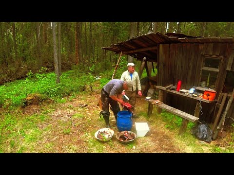Видео: С Батей и Племяшом на Кордон.Живём Неделю в Тайге.Рыбачим на Лесных Озёрах.