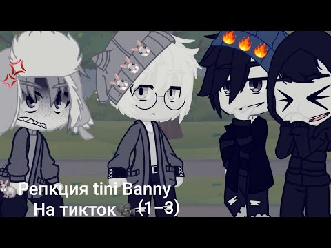 Видео: ||Реакция tini Banny на тикток||•{1-3}•