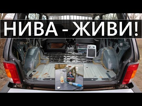 Видео: Чтобы НИВА не ГНИЛА, МАСЛО в ДЫРЫ лей ВСЕГДА!