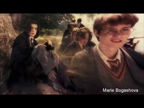 Видео: Гарри Поттер/Harry Potter- клип "Живите для живых" Александр Маршал и Мали