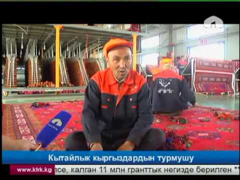Видео: Кытайлык кыргыздардын турмушу