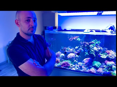 Видео: Морской аквариум на миллион! Большой обзор, экскурсия и советы от профессионала. #морскойаквариум
