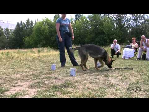 Видео: Семинар с С.Качкиным, июль 2012 (фрагменты). Часть 2 из 5