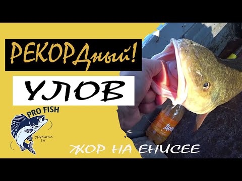 Видео: КОГДА РУКА ТАСКАТЬ УСТАЛА, а сердце чаще биться стало!