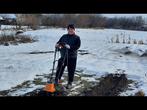 Видео: Посадка пионов в ноябре!!😱Соседи вновь в шоке!