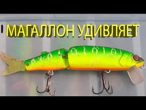 Видео: 🔥 Щука БОЛЬШАЯ, а воблер МАЛЕНЬКИЙ. Дикие поклевки щуки на Jackall Magallon и Lucky Craft Malas 🔥