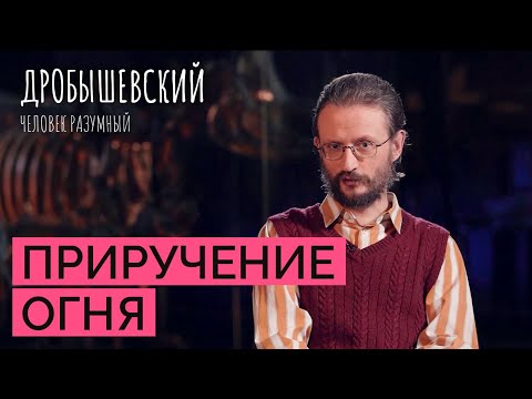 Видео: Зачем людям был нужен огонь? // Дробышевский. Человек разумный