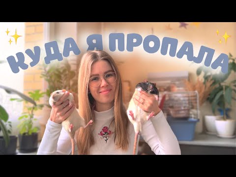 Видео: ПОЧЕМУ Я НЕ ВЫКЛАДЫВАЮ ВИДЕО🤔 НАШИ НОВОСТИ🗞 КАК ДЕЛА У КРЫС🐀