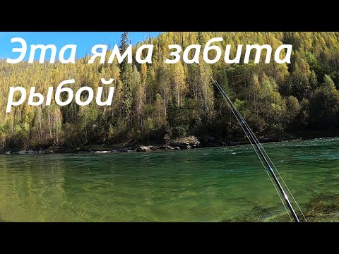 Видео: Нашел СЕКРЕТНОЕ место, КЛЮЕТ в каждый заброс, живу один в таежном зимовье варю УХУ из хариуса.