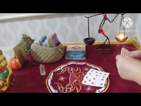 Видео: Крестовый король и бубновая дама. Что между ними?