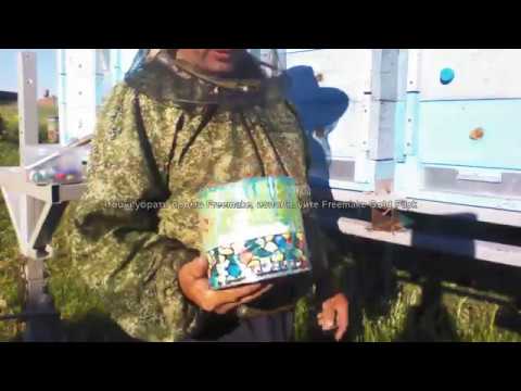 Видео: Модуль для пчёл.  Едем на кочёвку.