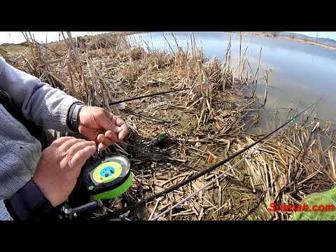 Видео: Херабуна началото