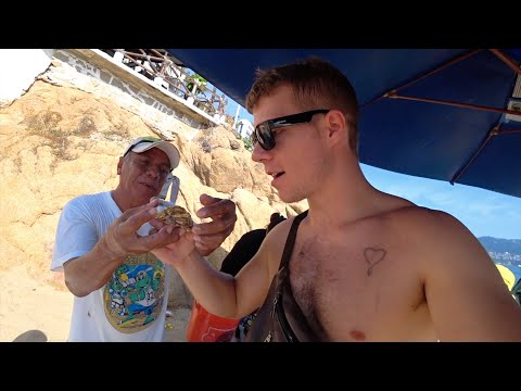 Видео: Устрицы за 7 долларов в Акапулько 🇲🇽
