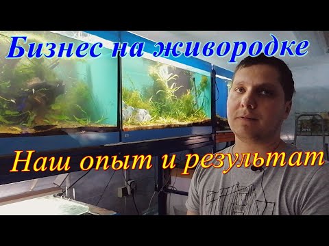 Видео: Бизнес на живородке. Наш опыт и результат.