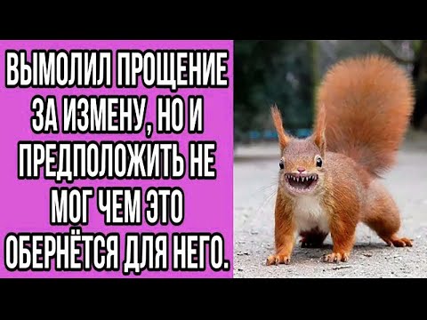 Видео: вымолил прощение за измену, но и предположить не мог чем это обернётся для него.