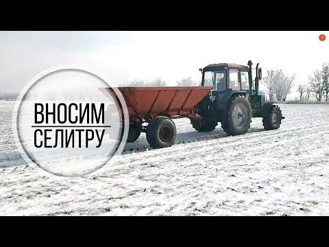 Видео: Разбрасыватель удобрений РУМ | Внесение селитры | 15 января