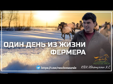 Видео: Работаем с утра и до ночи / Показываем как на самом деле проходит день фермера / Деревенские будни
