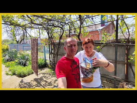 Видео: Купили дом в Станице. Спасаем помидоры. Ярмарка выходного дня.